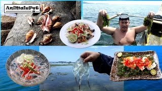 Catch Clean amp Eat Box Jellyfish Sea Grapes and Five fingers Shell  Make Kinilaw Recipesquot [upl. by Kennan938]