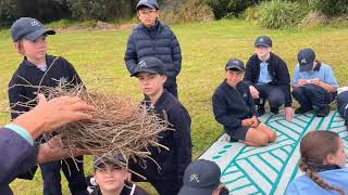 Year 4 Shorebirds Excursion to Kurnell [upl. by Noelani]