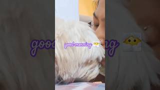 😶‍🌫️snobeta thanday gutiye ghumach6eGood morningwishs shortvideo viralvideo shortsviral [upl. by Onaivatco]