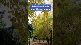 Kuran dinleyin kuran kesfet amin kuranmeali cuma aminquran love dosa öneçıkar duetnew [upl. by Hana]