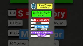 🔥 How to Remember Cranial Nerve Functions in 1 MINUTE Nursing Mnemonic Made Easy [upl. by Riddle514]