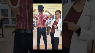 Anatomy body painting competitiomGovernment Physiotherapy College Raipur anatomy trending shorts [upl. by Ayk133]