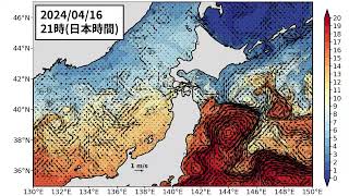 2024年4月29日までの親潮「短期」予測 番外 含む日本海北部 [upl. by Camile]