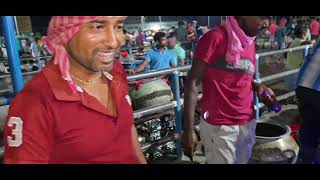 Kolkata Naihati Fish Seeds Market [upl. by Ijan]