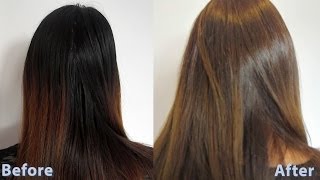 How to dye asian hair brown 3  How to do a root touch up [upl. by Aifos]