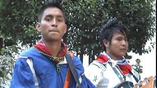 VIENTO HUICHOL 2015 NUEVO [upl. by Robinia982]