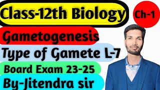 Type of gamete Isogamets Anisogametes [upl. by Ecirad]