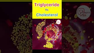 Triglyceride vs Cholesterol  Lipid profile test shorts triglycerides cholesterol [upl. by Laenahtan]