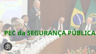 A PEC da Segurança Pública vai avançar E as Guardas [upl. by Thurlow152]