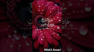 Surah AlSharhAlam Nashrah Arabic with Urdu translation سورۃ الشرح اردو ترجم MishiiiAnsari [upl. by Nodnar]