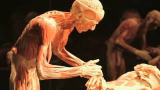 Gunther von Hagens BODY WORLDS Vital at Life Science Centre Newcastle UK [upl. by Wallache907]