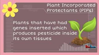 Biopesticides [upl. by Nadroj890]