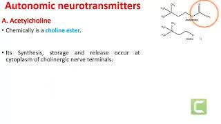 Autonomic Nervous System Pharmacology Lecture 2 Neurotransmitter of ANS [upl. by Felton]