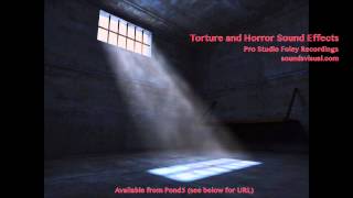 Torture and Horror Sound Effects [upl. by Niar]