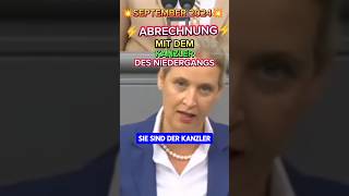 💥SCHOLZ bringt den NIEDERGANG💥 afd weidel ampel spd cdu merz politik bundestag bsw faeser [upl. by Twelve350]