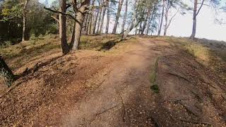 MTB Trails in der Fischbeker Heide [upl. by Crandall]