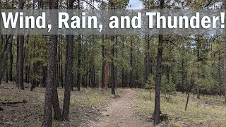 Jemez Springs  Field Recording LOUD sounds listen carefully [upl. by Meehar849]