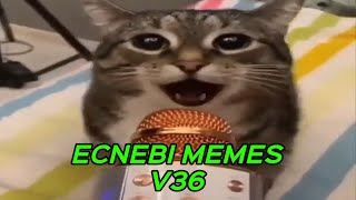 ECNEBI MEMES V36 [upl. by Nerhtak319]