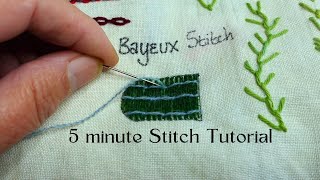 Master the Bayeux Stitch in 5 Minutes [upl. by Ahrendt]