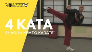 4 Kata  Shaolin Kempo Karate  VillariTV [upl. by Yhtnomit286]