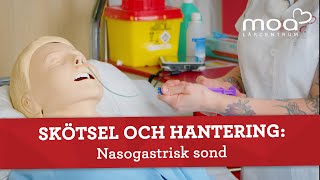 Skötsel och hantering  Nasogastrisk sond [upl. by Irrac]