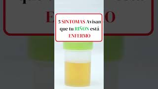 5 SINTOMAS Avisan que tu RIÑON está ENFERMO shortsvideo [upl. by Oinotnaocram179]