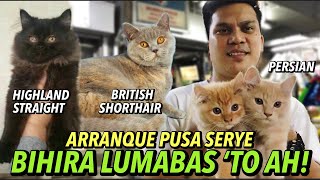 MGA BAGONG ALOK NG ARRANQUE PET MARKET BAGSAK PRESYO  PUSA SERYE  APRIL 18 2024 [upl. by Ahsinad]