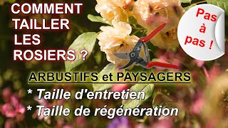 Comment tailler les rosiers  Arbustifs et Paysagers  Pas à pas [upl. by Syramad]