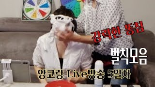 Live방송양코랑5일차 간지럼 똥침 goose Tickling 벌칙 [upl. by Wina]