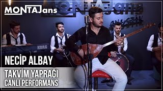 Necip Albay  Takvim Yaprağı Canlı Performans [upl. by Afrikah945]