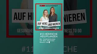 Auf Herz und Nieren – 11 Heimische Heilpflanzen [upl. by Senilec]