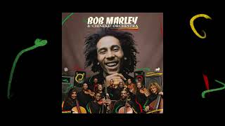 I Shot the Sheriff – Bob Marley and The Chineke Orchestra Visualizer [upl. by Axia847]