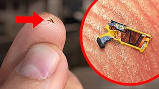 World’s Smallest Nerf Gun Shoots an Ant [upl. by Acinoreb]