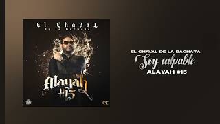 El Chaval de la Bachata  Soy Culpable [upl. by Wymore]