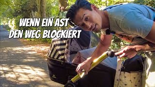 Wenn ein Ast den weg blockiert😱 [upl. by Shayn]