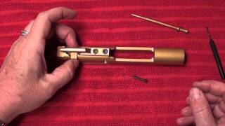 AR Bolt Carrier Assembly [upl. by Oballa153]