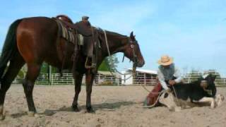 Ranch roping one man steer doctoring [upl. by Noxin]