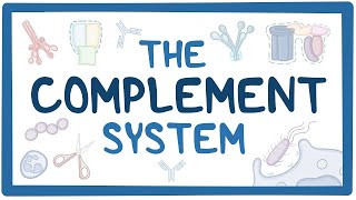 COMPLEMENT SYSTEM MALAYALAM [upl. by Rasia437]