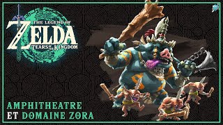 ZELDA TEARS OF THE KINGDOM 11 Amphithéâtre et domaine Zora  RPG Univers [upl. by Lyndel]