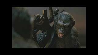 Caesar vs Koba Final Fight Part 1  Dawn of the Planet of the Apes 2014LOWI [upl. by Adnahsal]