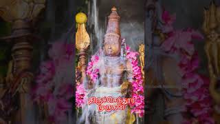 Murugan whats app status video song 🙏🦚 musicalm3h shorts devotionalsongs முருகன்கோவில் [upl. by Ueihtam]