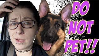 Taking my NERVOUS dog to petsmart  DO NOT PET [upl. by Pownall]