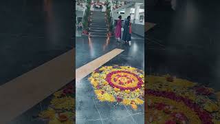 Dewali special entertainment shots viralvideo 🏵️💥🪔🎇🏵️🌟✨🎉 [upl. by Asilec]