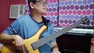 Ill Be Here Awhile bass cover  311 [upl. by Sew368]