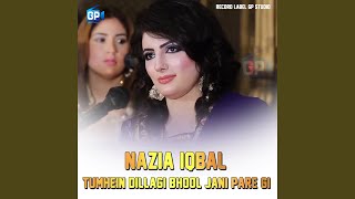 Tumhein Dillagi Bhool Jani Pare Gi [upl. by Are512]