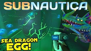 SEA DRAGON EGG  ANTECHAMBER NEWS amp MORE  Subnautica [upl. by Nev62]