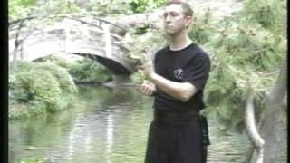 Short Wing Chun Demo [upl. by Marpet]