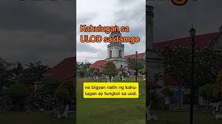 Kahulugan sa ulod sa damgo ulod kahulugansaulodsadamgo nagdamgougulod uod nanaginipngoud [upl. by Rapsag]