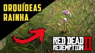 RED DEAD REDEMPTION 2 – ORQUÍDEAS RAINHA ITENS EXÓTICOS  RDR2 100 PTBR [upl. by Grosberg410]