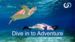 Cozumel Snorkel Center Look for Adventure [upl. by Shirl79]